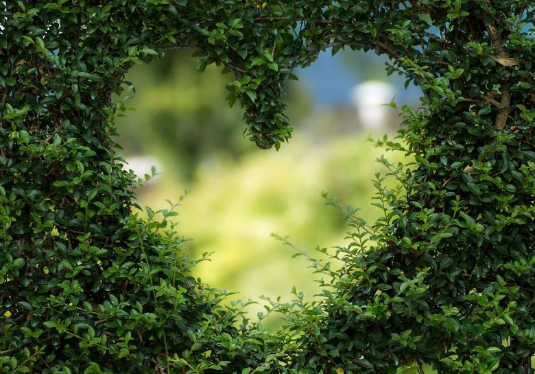 Comment aménager son jardin ?