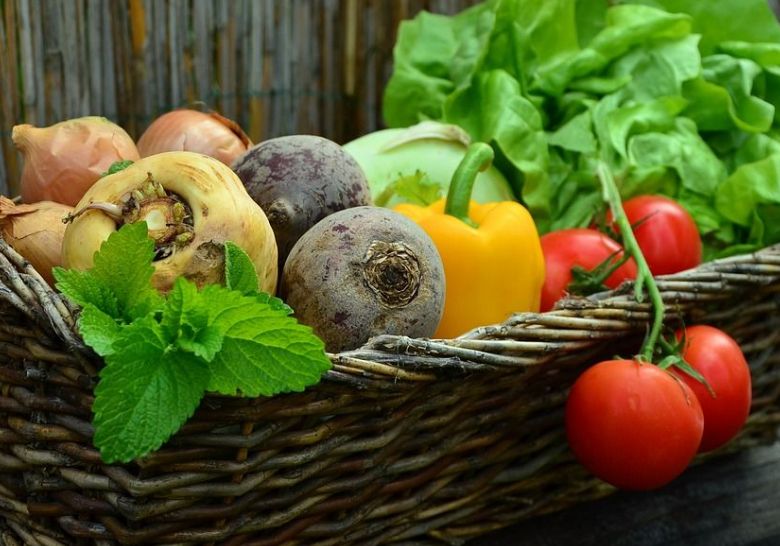 5 idées pour créer un jardin écologique